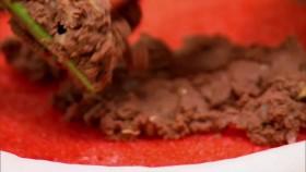 Kids Baking Championship S08E10 The Fruit of Your Labor iNTERNAL 720p WEB x264-ROBOTS [eztv]