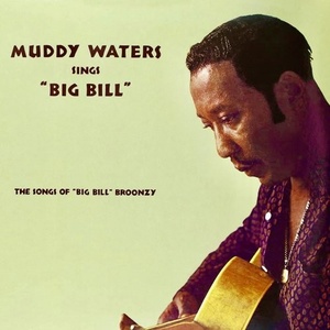 Muddy Waters - Muddy Waters Sings Big Bill Broonzy (Remastered) (2021) Mp3 320kbps [PMEDIA] ⭐️