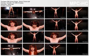 Brutalmaster 5 Movies