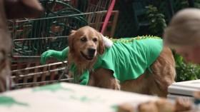 The Heights AU S01E24 HDTV x264-CCT [eztv]