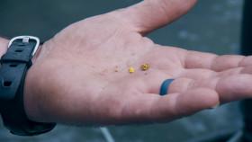 Gold Rush White Water S03E05 Birthday Gold 720p AMZN WEB-DL DDP2 0 H 264-NTb [eztv]