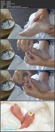 [ FreeCourseWeb ] First steps in Reflexology