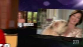 Watch What Happens Live 2018 06 26 Rachel Zoe and Conrad Empson WEB x264 TBS eztv