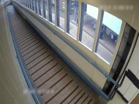 Shoplifters At War With The Law S01E03 480p x264-mSD [eztv]