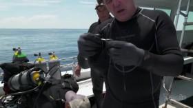 Blue Water Savages S01E01 HDTV x264-CBFM [eztv]