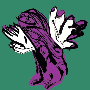 [alternative folk, electronic] (2022) Naphta - Zalosc [FLAC] [DarkAngie]