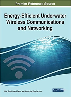 Energy-Efficient Underwater Wireless Communications and Networking PDF