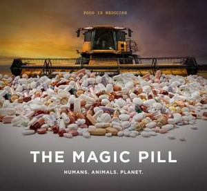The Magic Pill 2017 480p WEB x264-RMTeam
