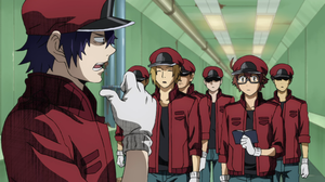 Hataraku Saibou Black (Cells at Work Black) (Season 1) [1080p][HEVC x265 10bit][Multi-Subs] - Judas
