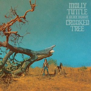 Molly Tuttle - Crooked Tree (2022) [24Bit-96kHz] FLAC [PMEDIA] ⭐️