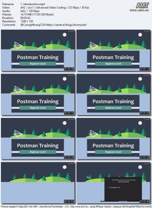 Udemy - Postman APIs - The Complete Guide