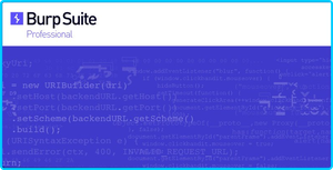 Burp Suite Professional 2022.3.9