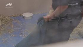 The Zoo US S04E13 Great Snakes 720p HDTV x264-CRiMSON [eztv]