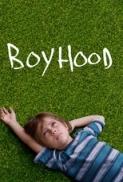 Boyhood (2014) Criterion 1080p BluRay x265 HEVC EAC3-SARTRE
