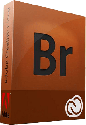 Adobe Bridge 2020 v10.0.2.131 Pre-Activated [FileCR]