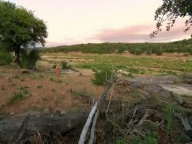 Naked and Afraid Foreign Exchange S01E06 Too Hot To Handle 480p x264-mSD [eztv]