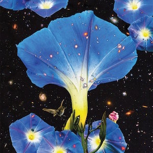 [alternative folk] (2019) Sarah Louise - Nighttime Birds and Morning Stars [FLAC,Tracks] {100.XY}