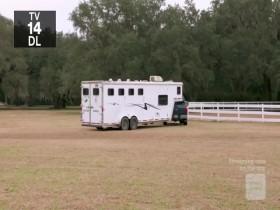 Southern Charm S06E13 Outfoxed 480p x264-mSD [eztv]