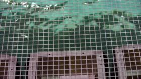 Mega Machines-Sea Giants S02E04 Dynamos of the Deep 1080p WEBRip x264-OUTFiT [eztv]