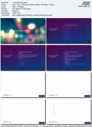 Udemy - Python For Accountants III - The Practical Approach