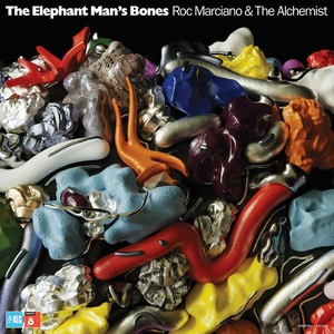 Roc Marciano - The Elephant Man's Bones (2022) [24Bit-48kHz] FLAC [PMEDIA] ⭐️