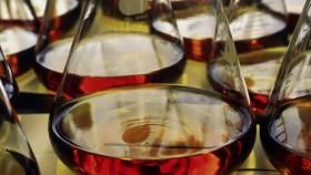 NOVA S47E05 Cubas Cancer Hope 720p WEB h264-DHD [eztv]