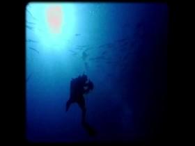 Inside The Mossad S01E03 iNTERNAL 480p x264-mSD [eztv]