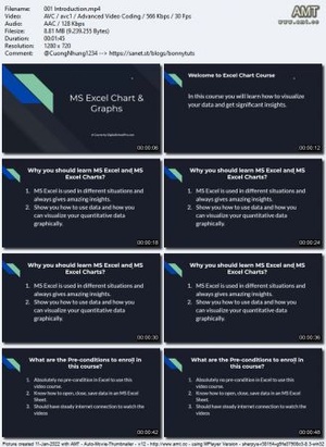 Udemy - Learn Microsoft Excel Charts and Graphs
