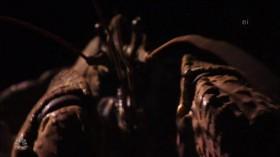 Earth Odyssey With Dylan Dreyer S02E09 Zanzibar HDTV x264-CRiMSON [eztv]