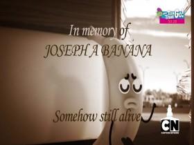 The Amazing World of Gumball Darwins Yearbook S01E01 480p x264-mSD [eztv]