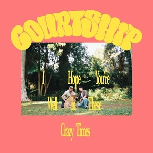 Courtship. - I hope you're well in these crazy times (2022) Mp3 320kbps [PMEDIA] ⭐️