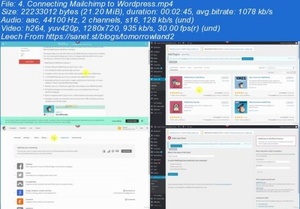 Udemy - Master Email Marketing Automation With MailChimp