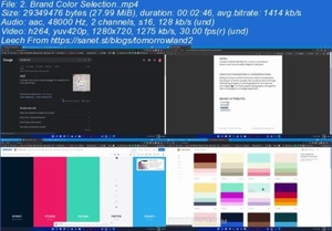 Design a brand style guide The Entire Brand Design Process