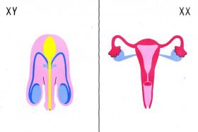 Sex Explained S01E04 WEB X264-STARZ [eztv]