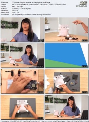 Linkedin - CircuitPython - Connecting a Robot Cat to the Internet