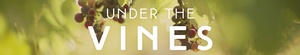 Under.the.Vines.S01E06.WEB.x264-PHOENiX