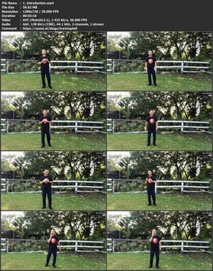 [ FreeCourseWeb ] Udemy - 8 Basic Tai Chi Movements for Better Balance, Reduces Falls