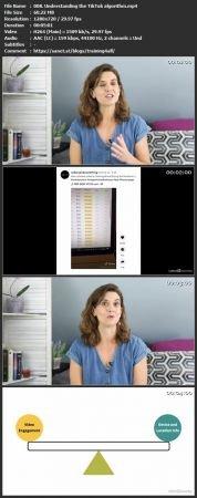 Linkedin - Social Media Marketing Strategy - TikTok and Instagram Reels