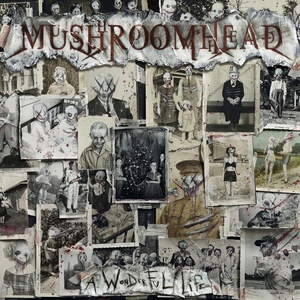 Mushroomhead - A Wonderful Life Alternative Metal Album (2020) [320] kbps Beats⭐