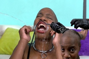 GhettoGaggers - Monkey Was Sheared And Fucked.mp4