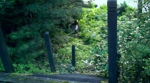 Satanic Meat Cleaver Massacre (2017) [WEBRip] [1080p] [YTS] [YIFY]