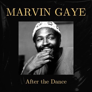 Marvin Gaye - After The Dance (Live) (2023) [16Bit-44.1kHz] FLAC [PMEDIA] ⭐️