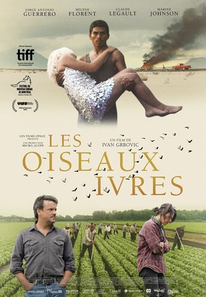 Drunken.Birds.[Les.Oiseaux.Ivres].2021.1080p.WEB-DL.x264.AC3.HORiZON-ArtSubs