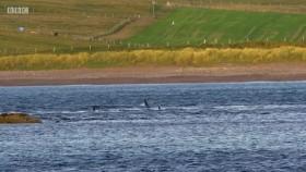 The One Show 2019 02 19 WEB h264-WEBTUBE [eztv]