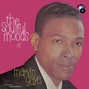 50 Tracks This Is Marvin Gaye SoulR&B Songs Playlist Spotify Mp3~[320] kbps Beats⭐