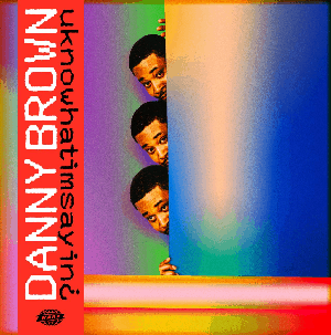 Danny Brown - uknowhatimsayin¿ (2019) [320 KBPS] (pradyutvam)