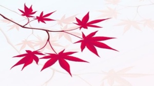 [ FreeCourseWeb ] Udemy - Tsuboki Japanese Face Massage