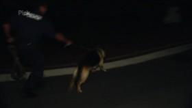Police Force Australia S02E05 PDTV x264-UNDERBELLY [eztv]