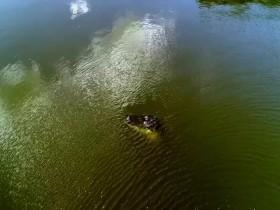 Unexplained and Unexplored S01E06 Mystery of the American Maya 480p x264-mSD [eztv]