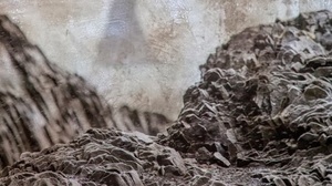 Linkedin | Photoshop 2020 Essential Training: The Basics [FCO]